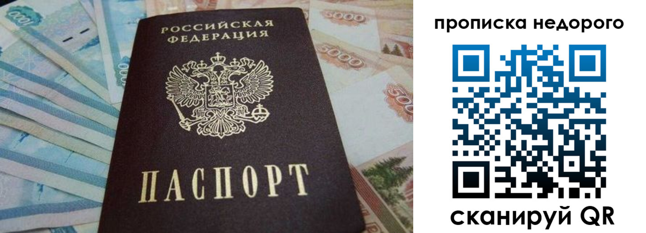 временная регистрация поиск в Торжоке